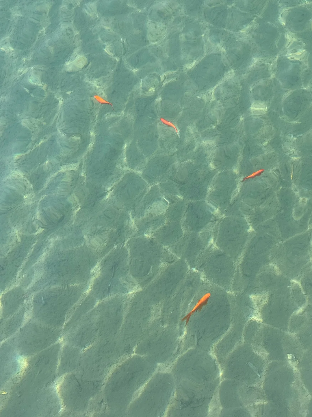 百瑞谷｜漫步在山川的调色盘里🎨在油画里❗️