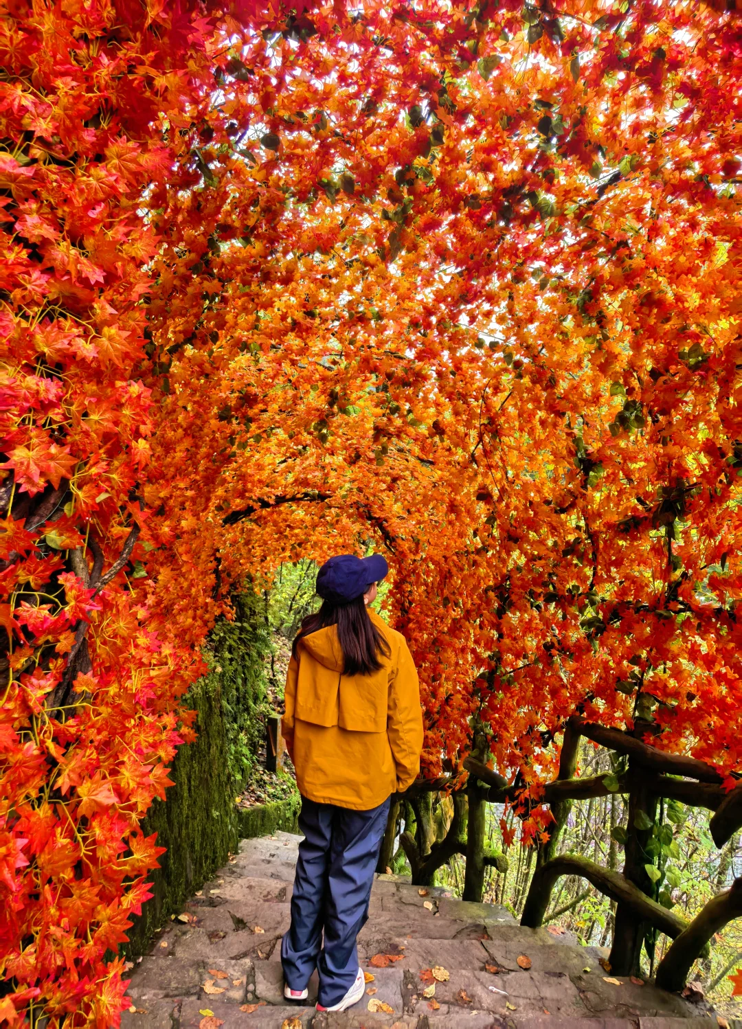 西安周边|不愧陕南小九寨❗低估赏秋天花板