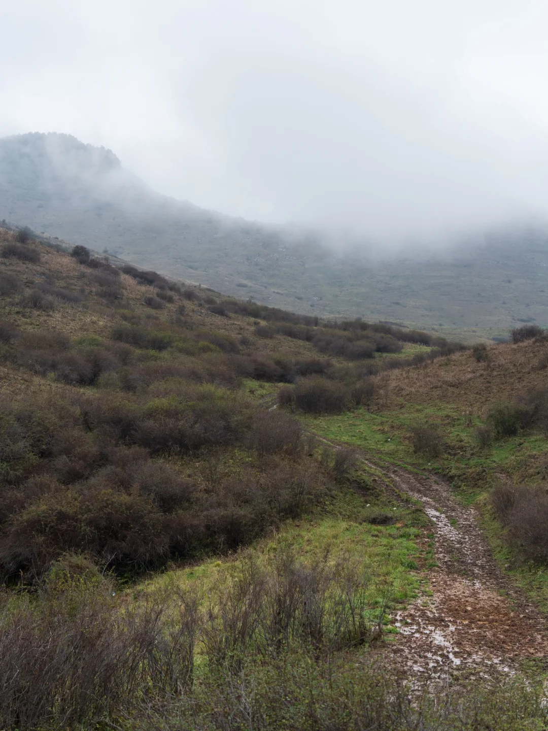 勇敢的人先享受山西的秋天🍂