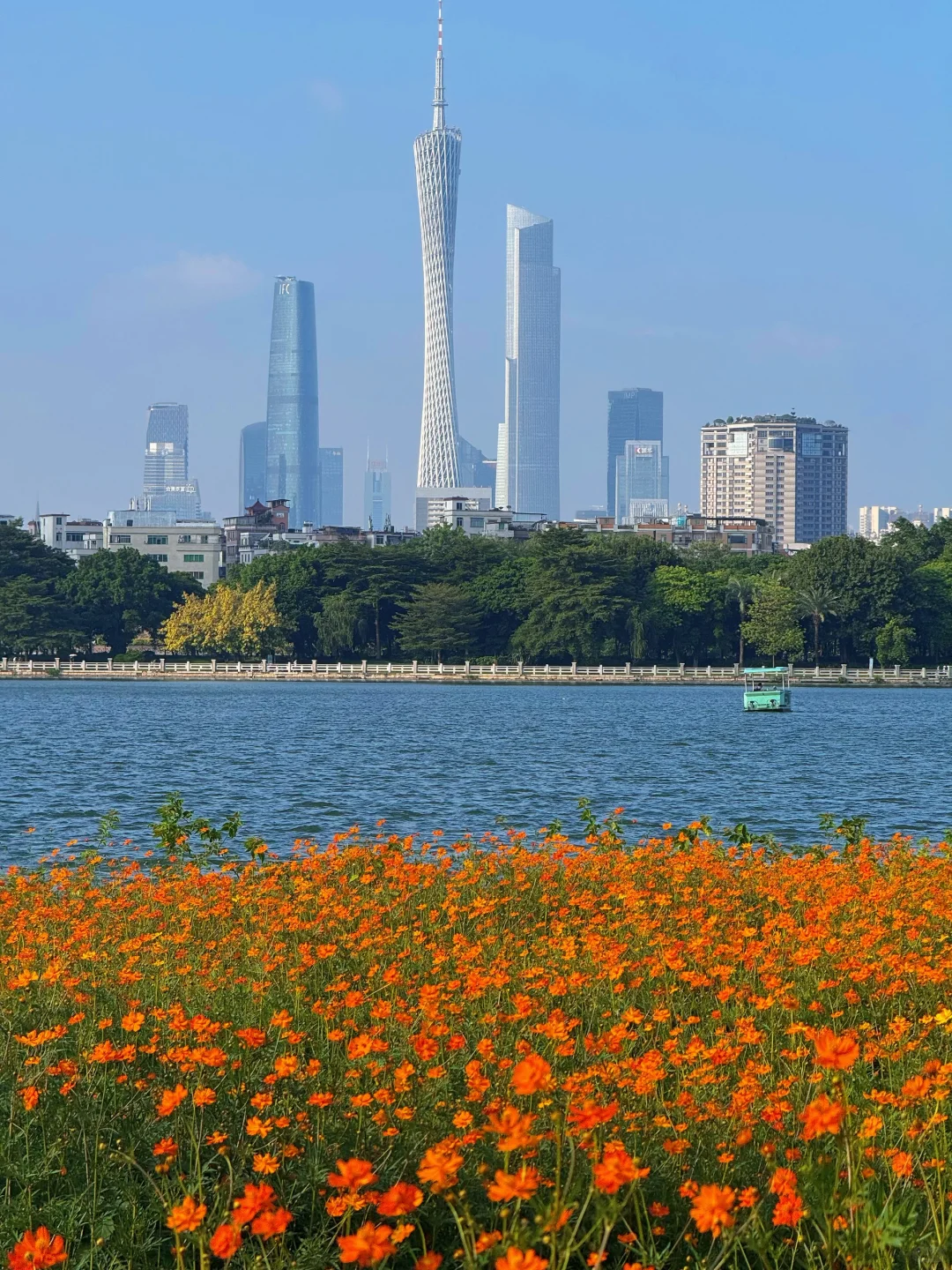 10.19实况～广州秋天🌼是花开成海的金色浪潮
