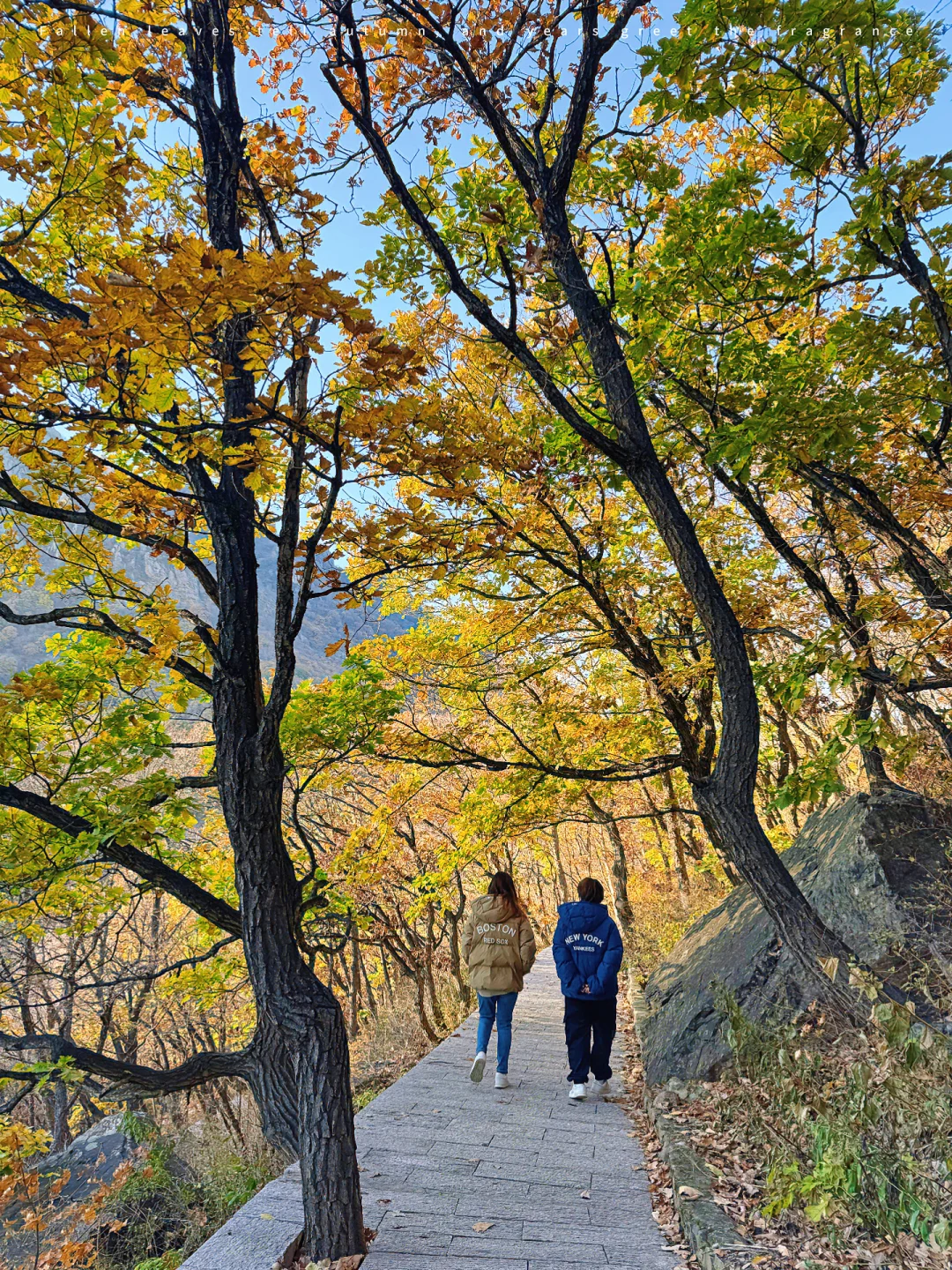 百瑞谷｜漫步在山川的调色盘里🎨在油画里❗️