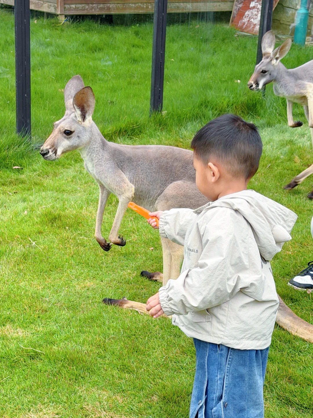 中南百草原两天一夜亲子游玩攻略