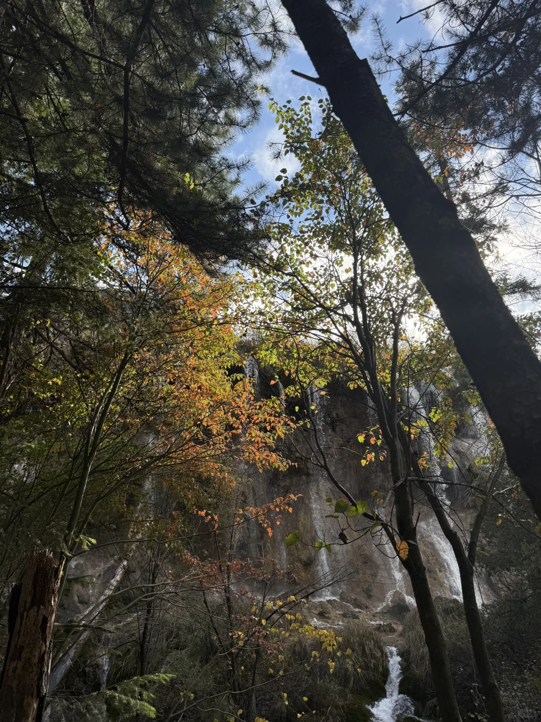 九寨沟不拥挤版超级详细攻略(10.22实况)