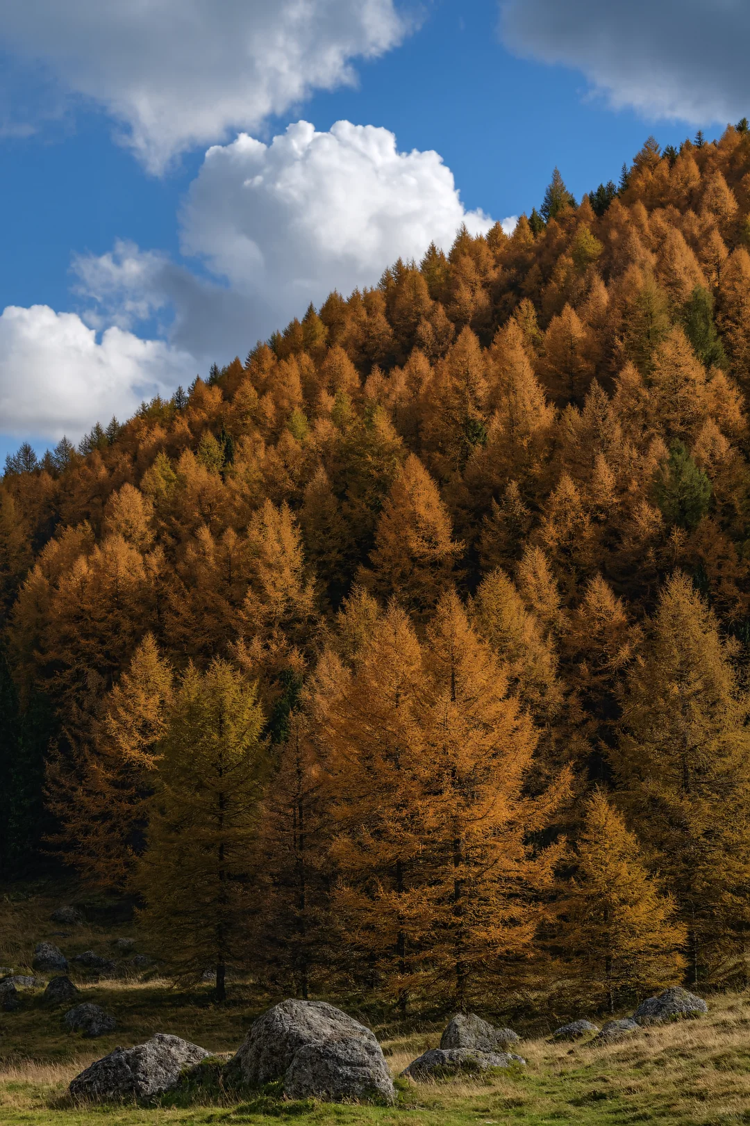 北京周边2h直达！秋天必须去的宝藏秘境