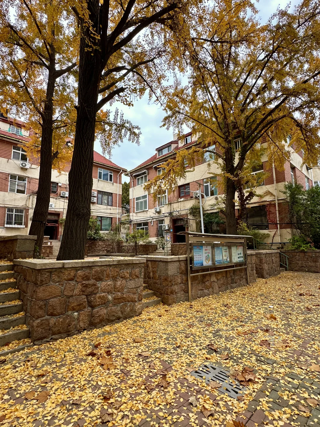 秋天🍂来青岛一定要做的1️⃣0️⃣件小事！！！！