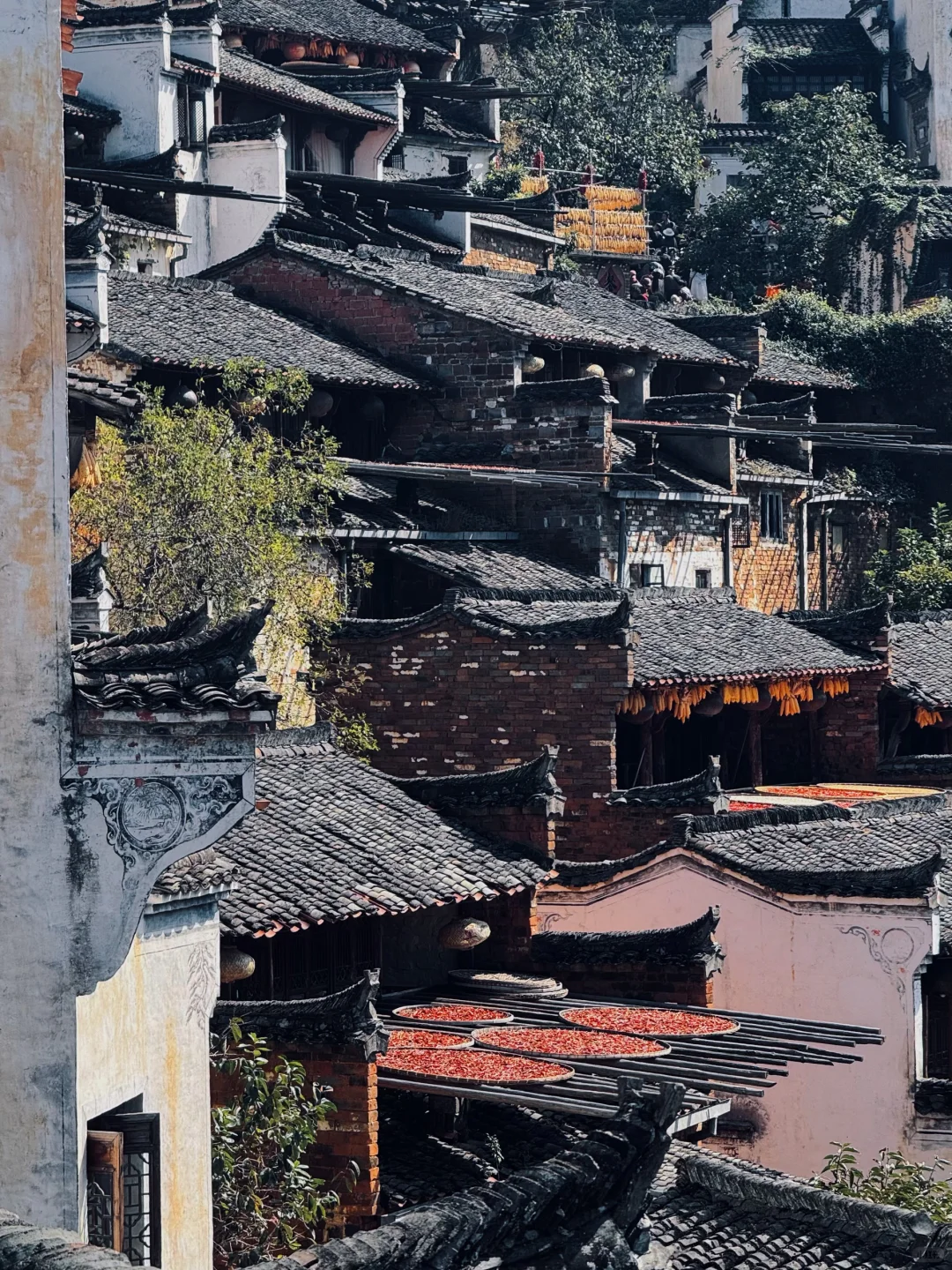 自驾冲篁岭太香了！露营看星空绝了