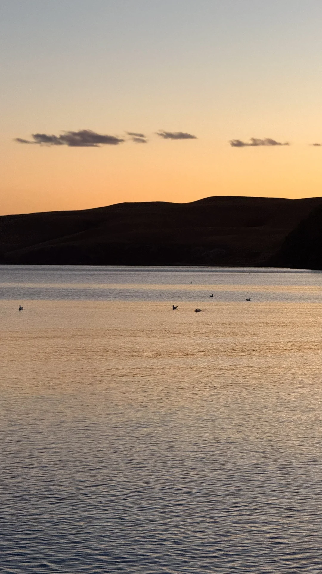 妈妈 人生是旷野~