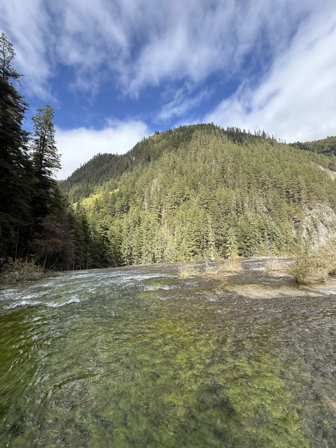 九寨沟不拥挤版超级详细攻略(10.22实况)