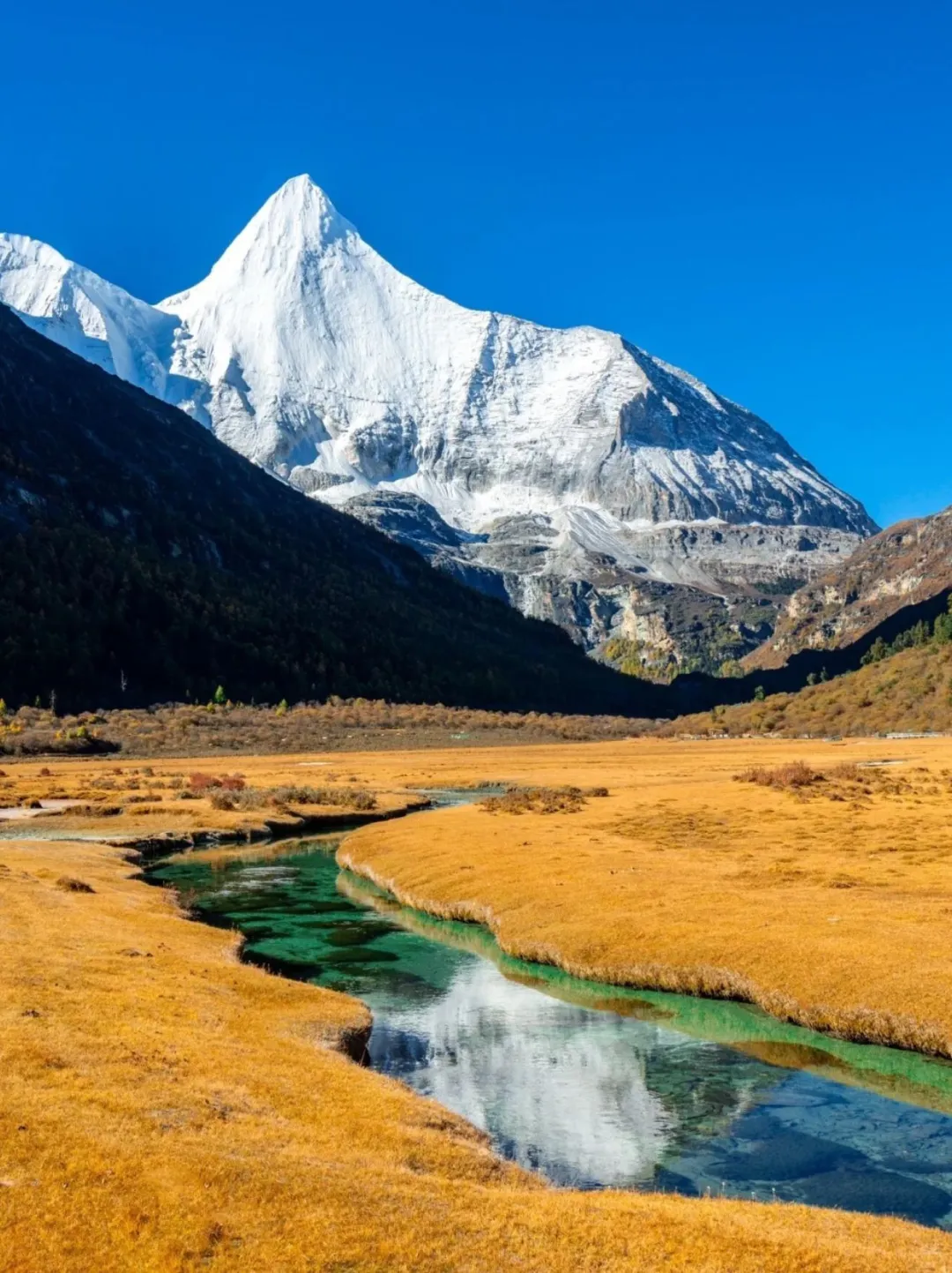 稻城亚丁的秋天，人间值得🍁