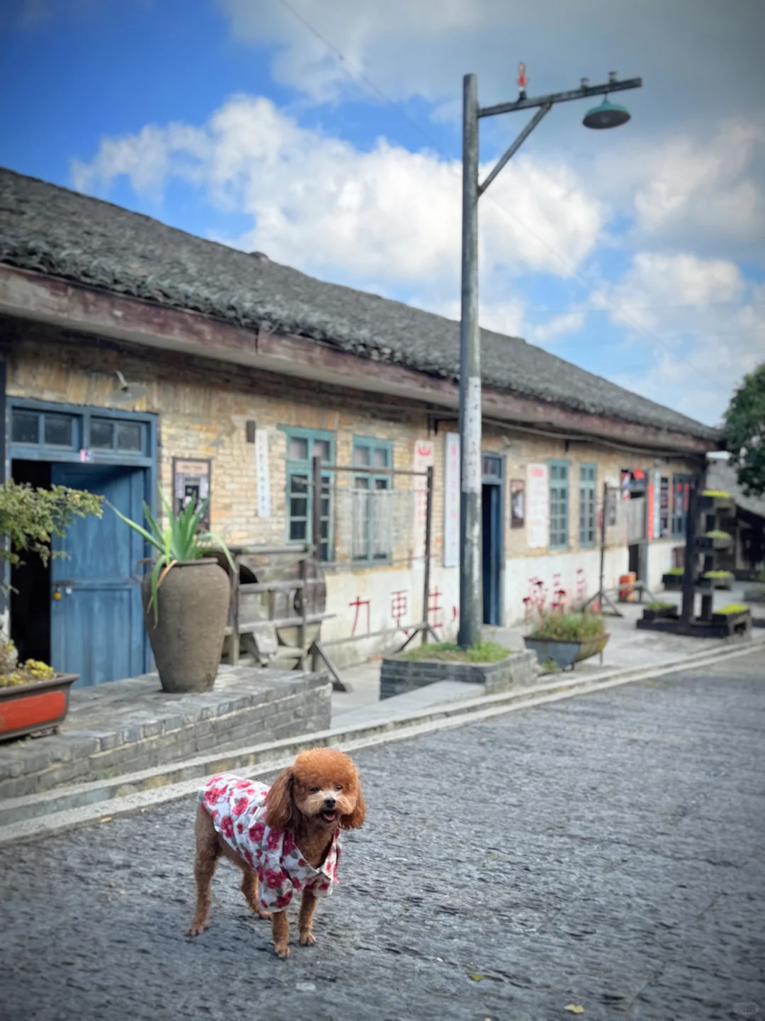 朱砂古镇/仿佛穿越到六七十年代！