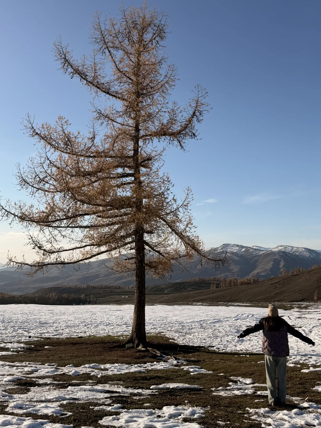 live丨终于来到了阿勒泰