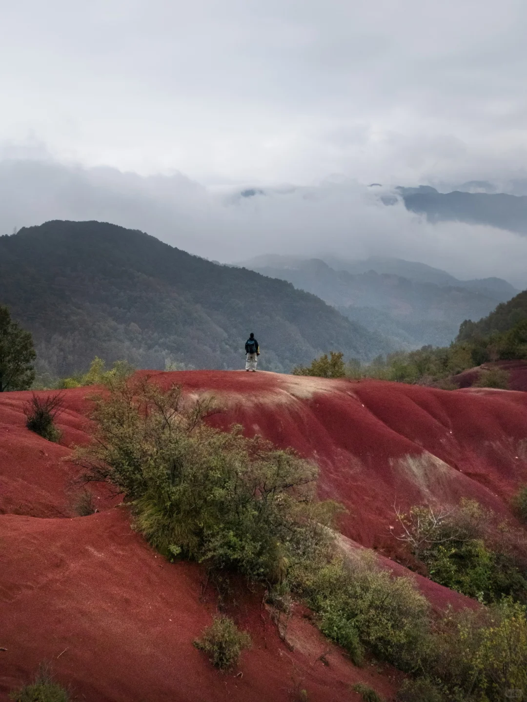 勇敢的人先享受山西的秋天🍂