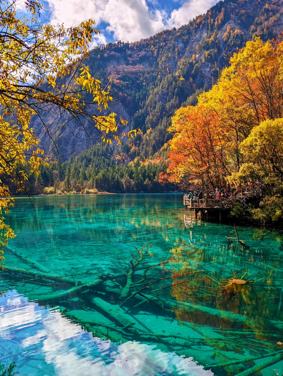 九寨沟即将迎来彩林季🍁真比日本震撼万倍！