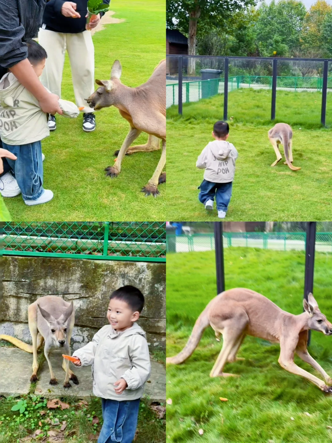 中南百草原两天一夜亲子游玩攻略