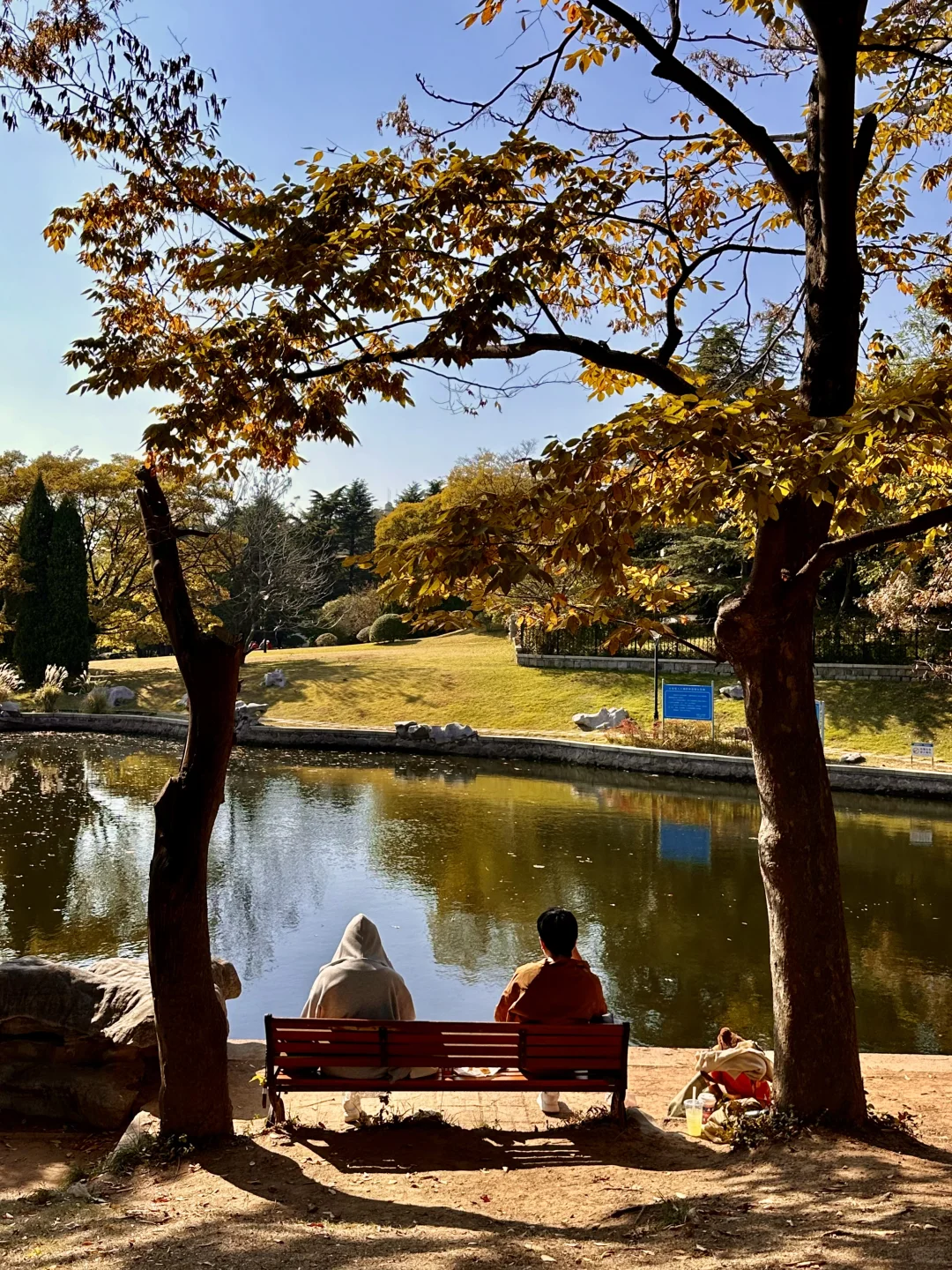 秋天🍂来青岛一定要做的1️⃣0️⃣件小事！！！！