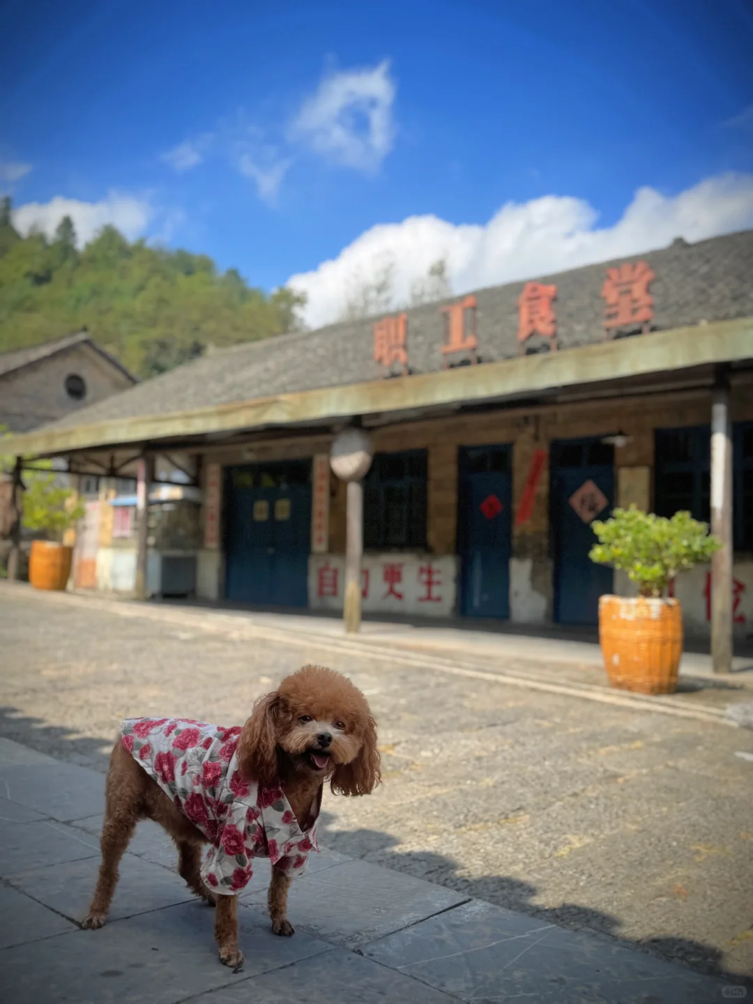 朱砂古镇/仿佛穿越到六七十年代！