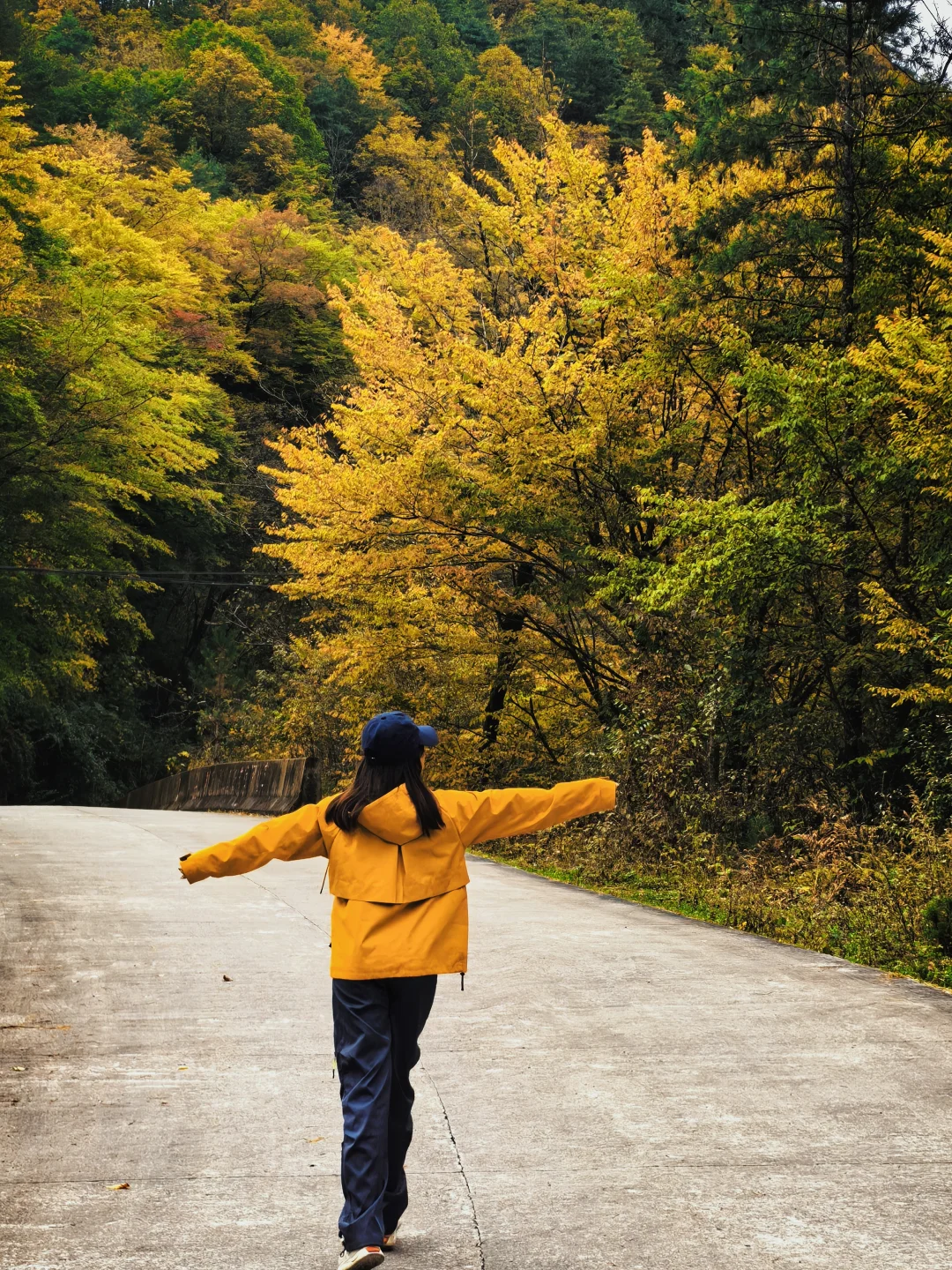 西安周边|不愧陕南小九寨❗低估赏秋天花板