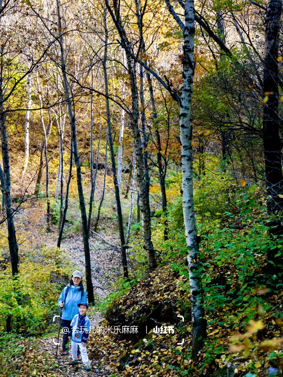 北京这座山已层林尽染🍁关键还没啥人