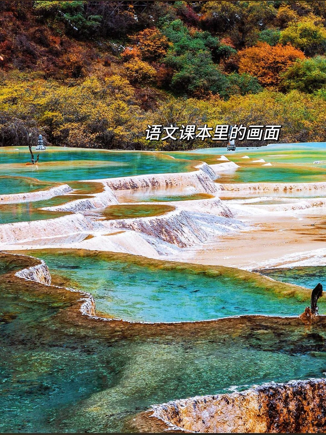 九寨沟即将迎来彩林季🍁真比日本震撼万倍！