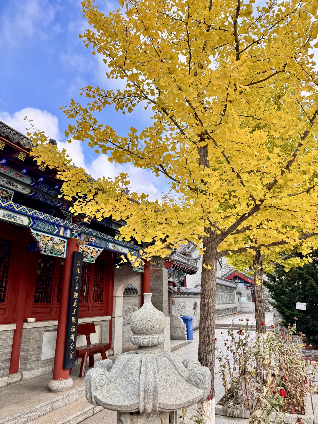 吉林市丨玄帝观的银杏黄了！快去拍！