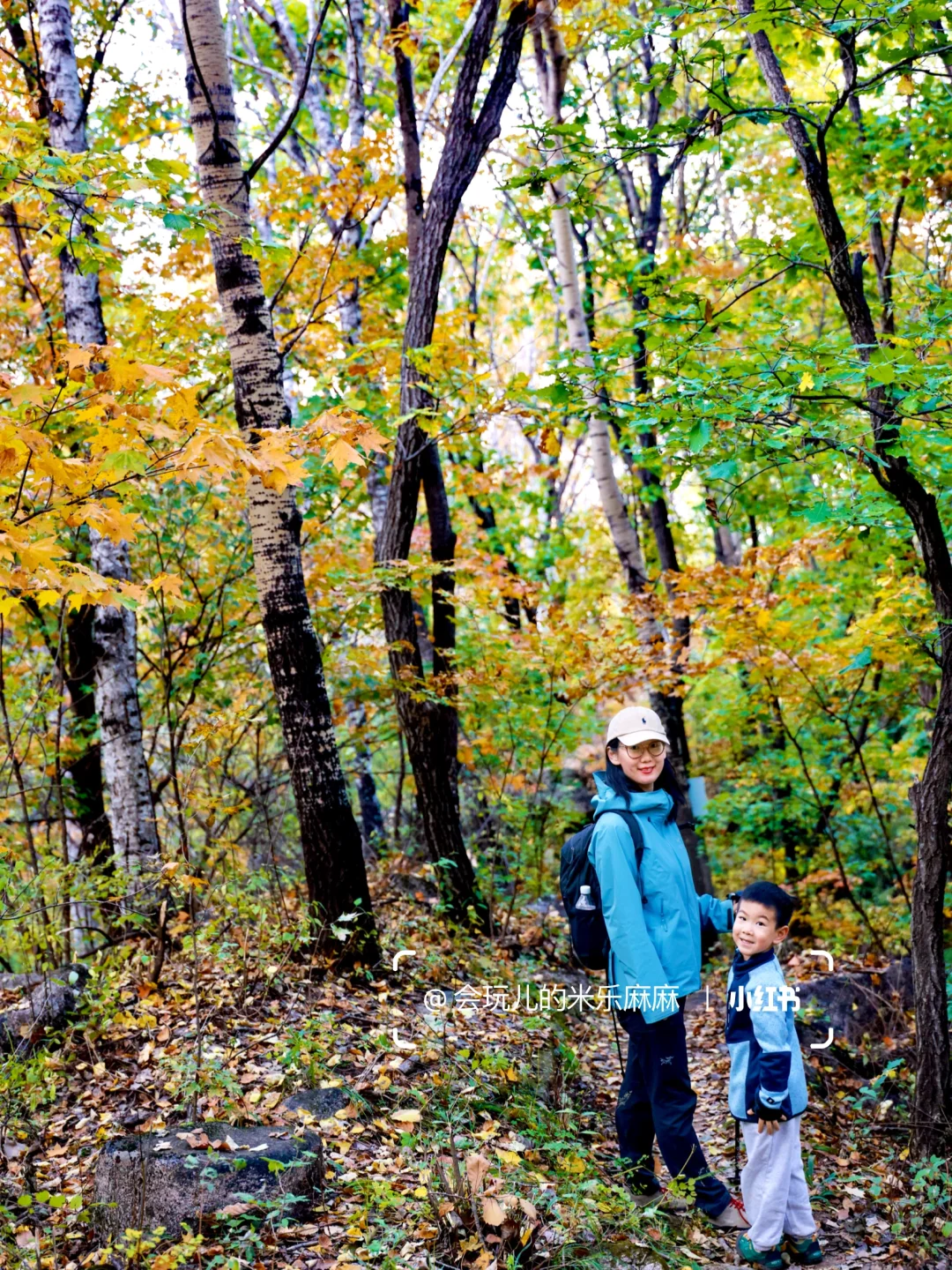 北京这座山已层林尽染🍁关键还没啥人