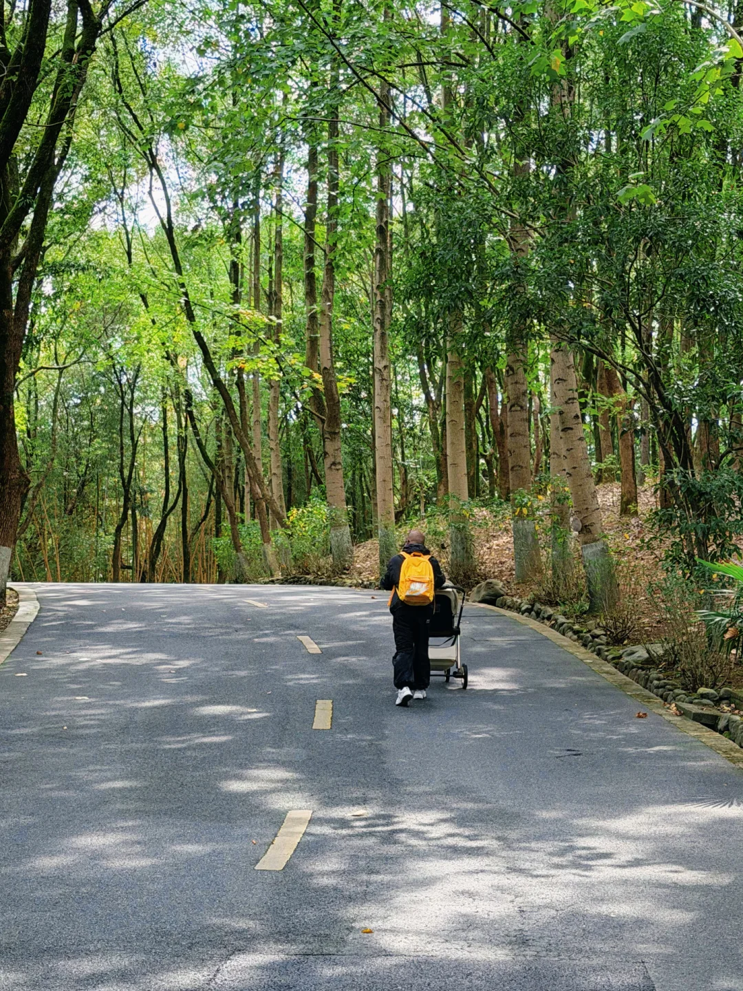 中南百草原两天一夜亲子游玩攻略