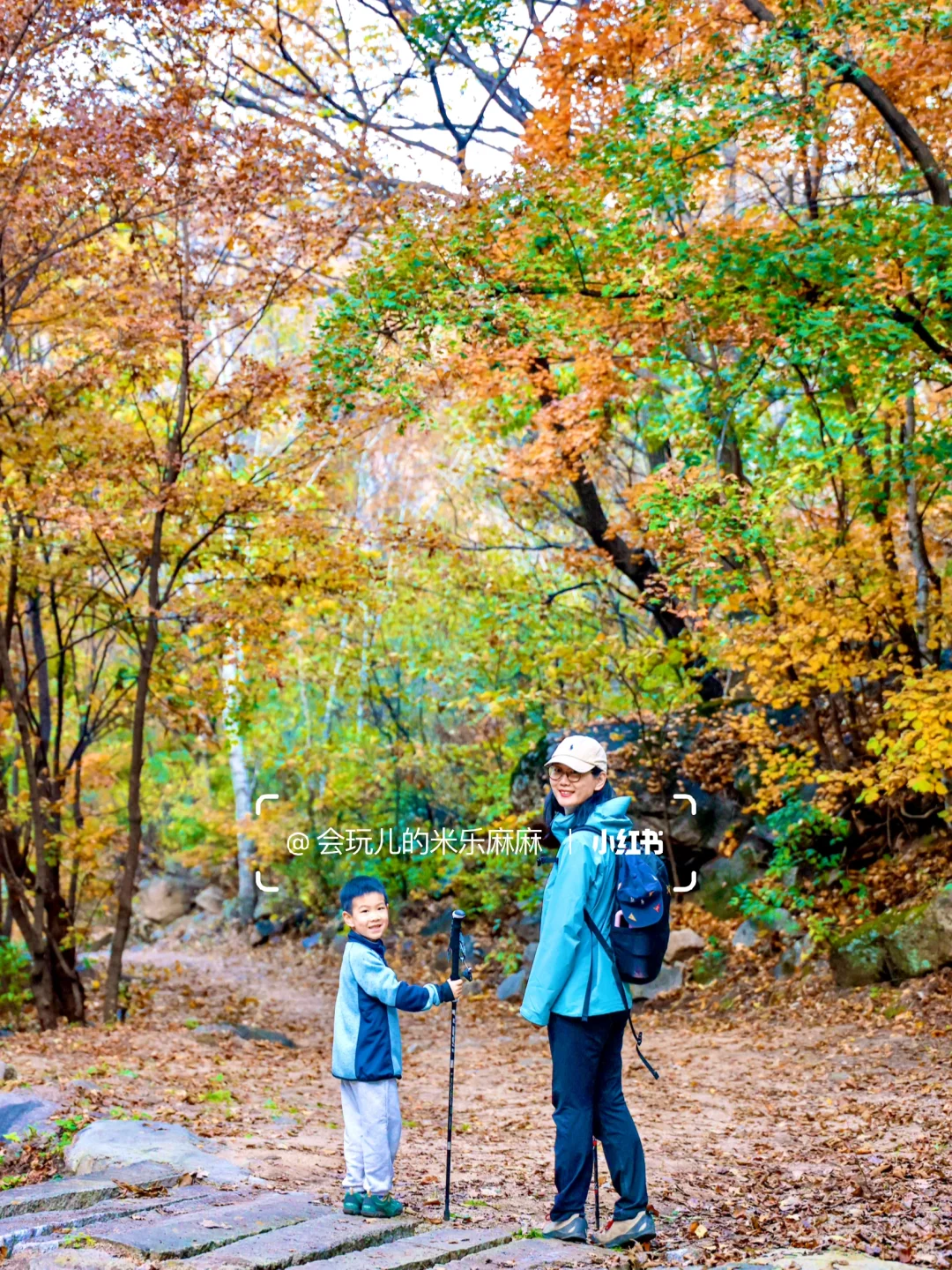 北京这座山已层林尽染🍁关键还没啥人