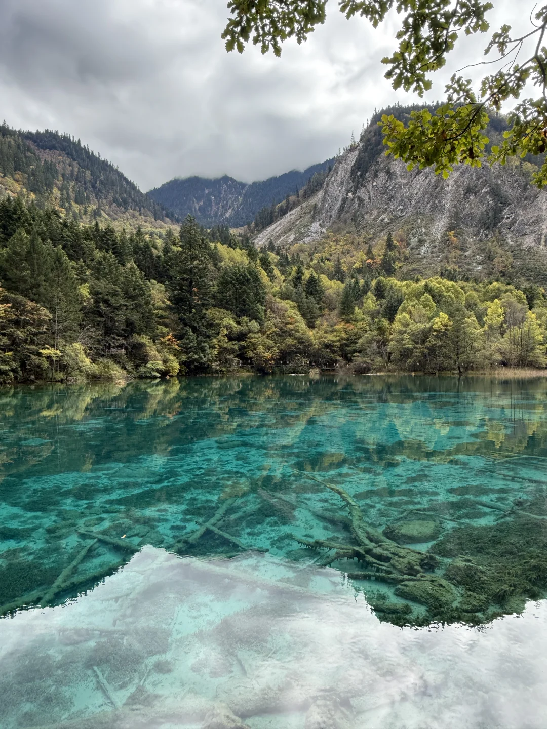 九寨沟不拥挤版超级详细攻略(10.22实况)