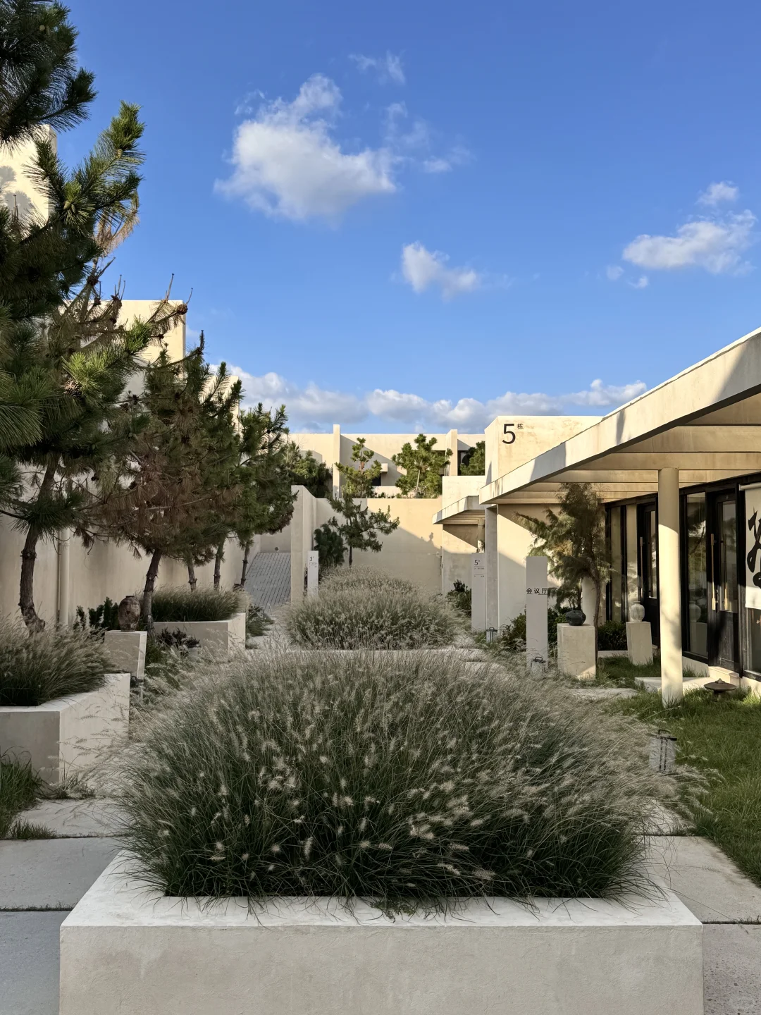 威海｜小石岛最值的10块钱！日落泳池咖啡店🍸