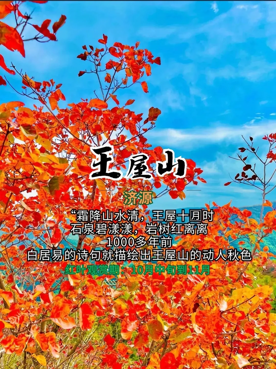 打卡！河南红叶赏秋攻略来了