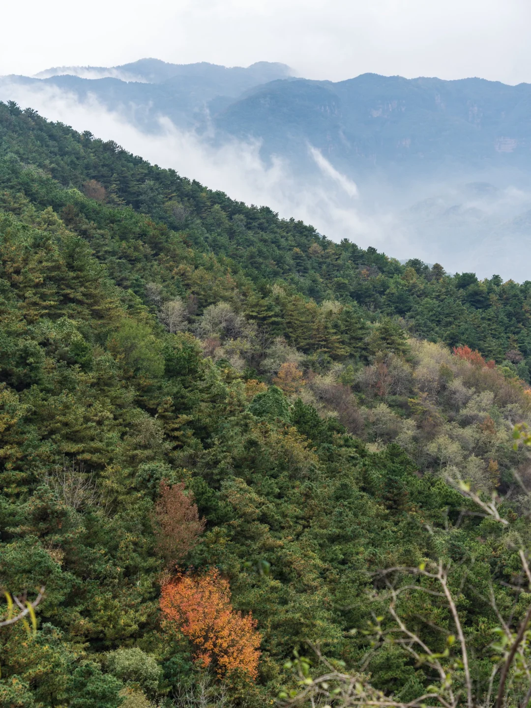 勇敢的人先享受山西的秋天🍂