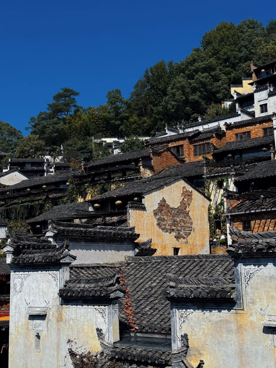 自驾冲篁岭太香了！露营看星空绝了