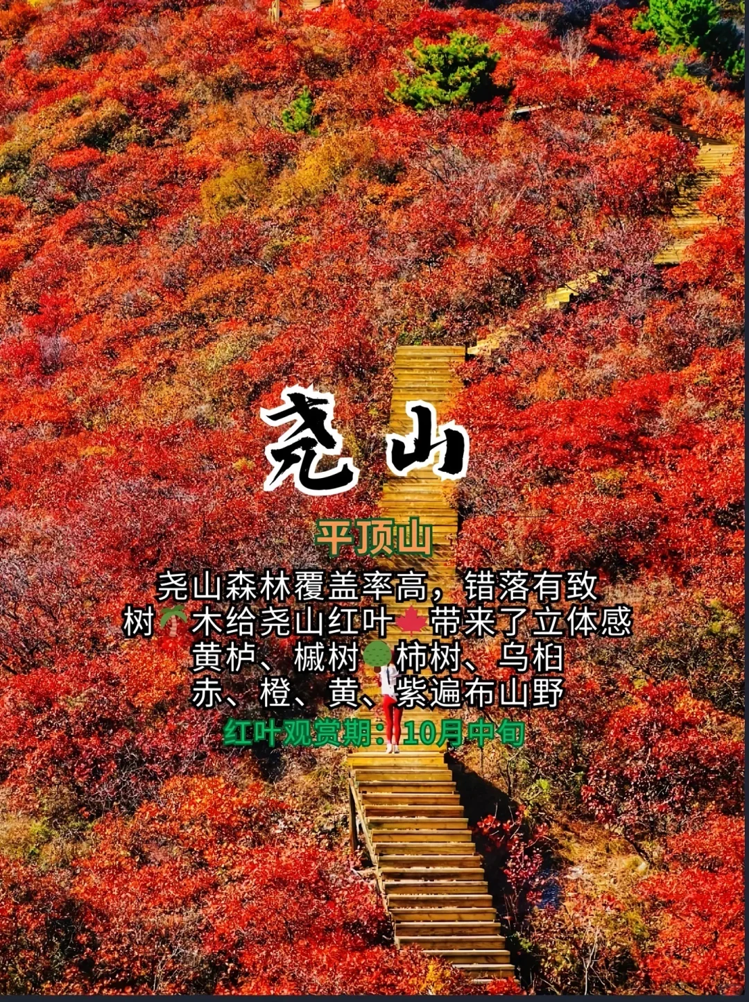 打卡！河南红叶赏秋攻略来了