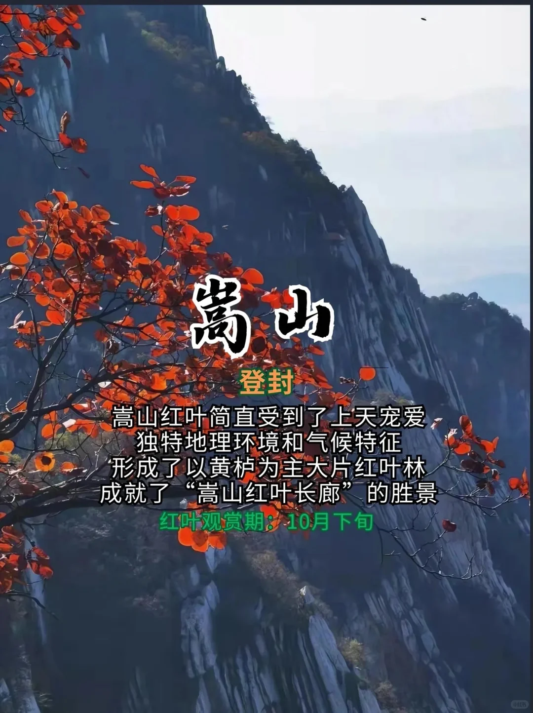 打卡！河南红叶赏秋攻略来了