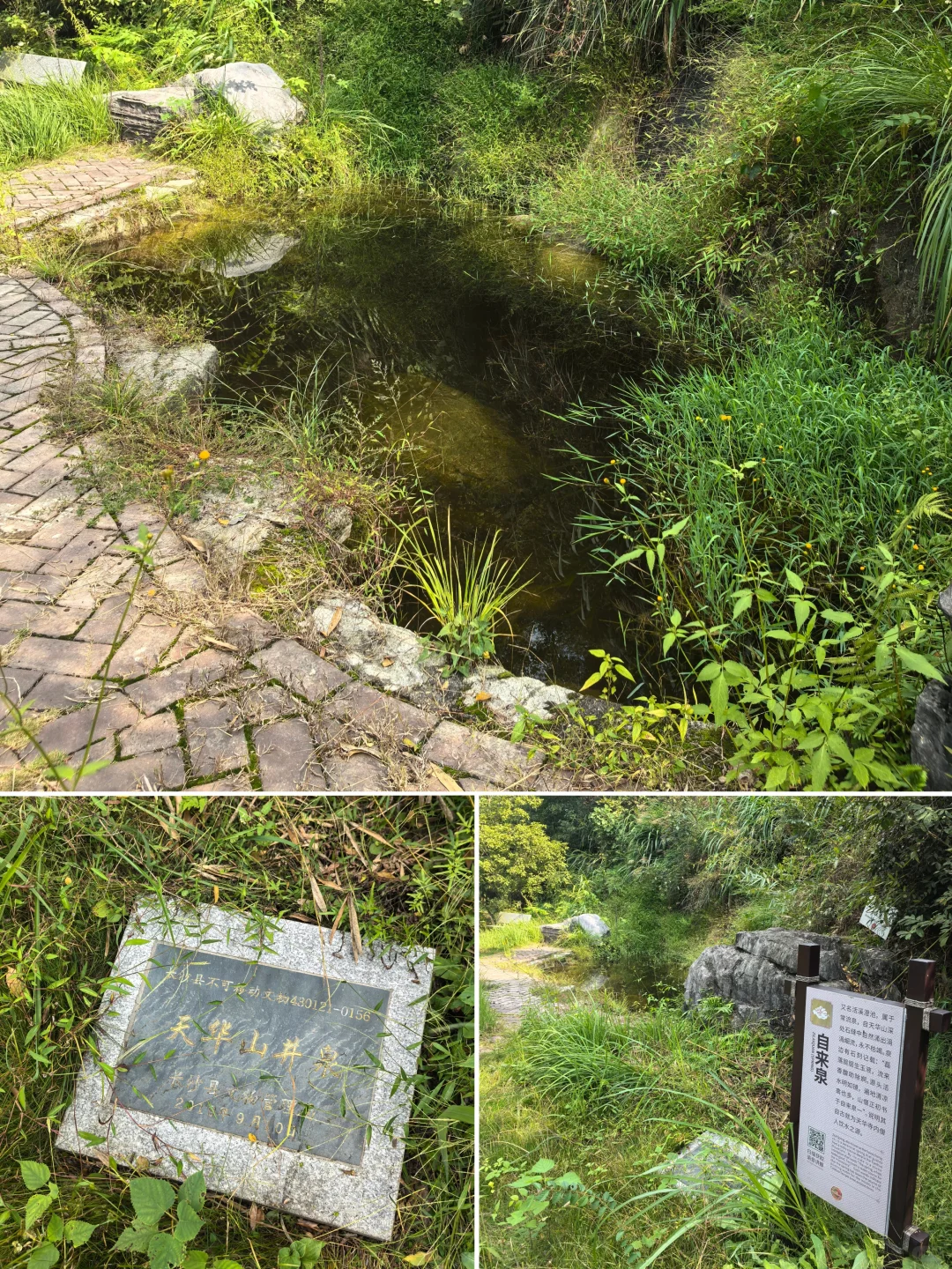 漫游天华山景区㊤：霜降时节我探寻天华八景