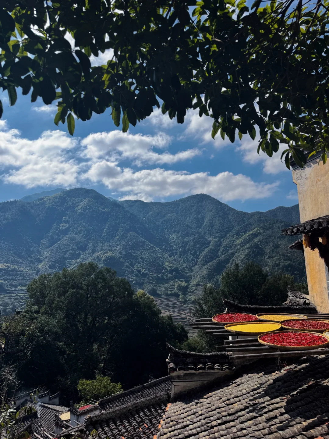 自驾冲篁岭太香了！露营看星空绝了