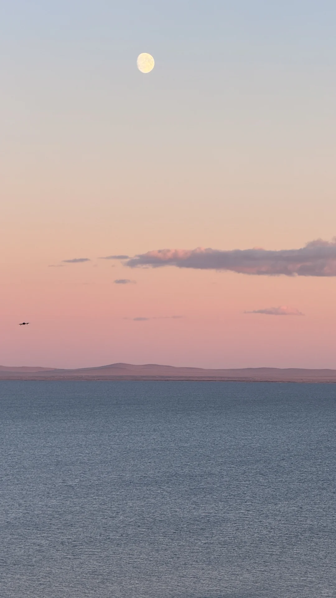 妈妈 人生是旷野~