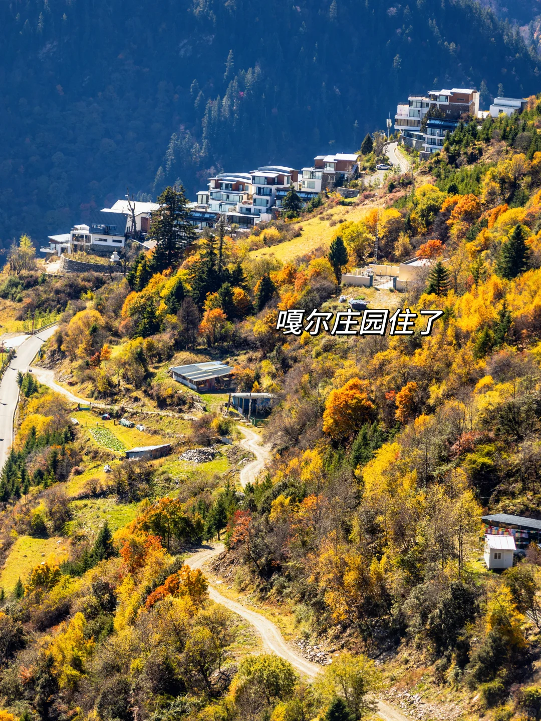 九寨沟即将迎来彩林季🍁真比日本震撼万倍！