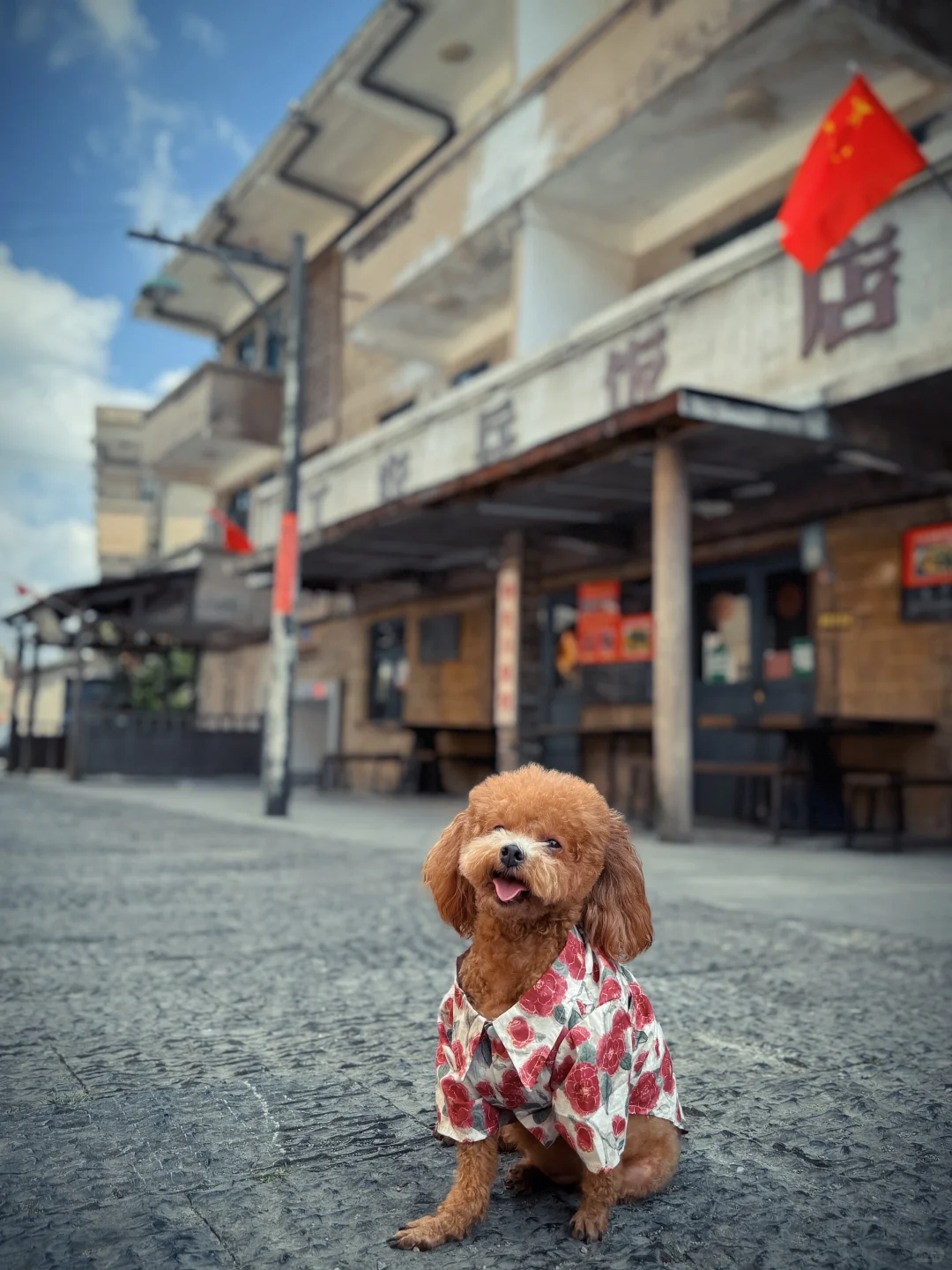 朱砂古镇/仿佛穿越到六七十年代！