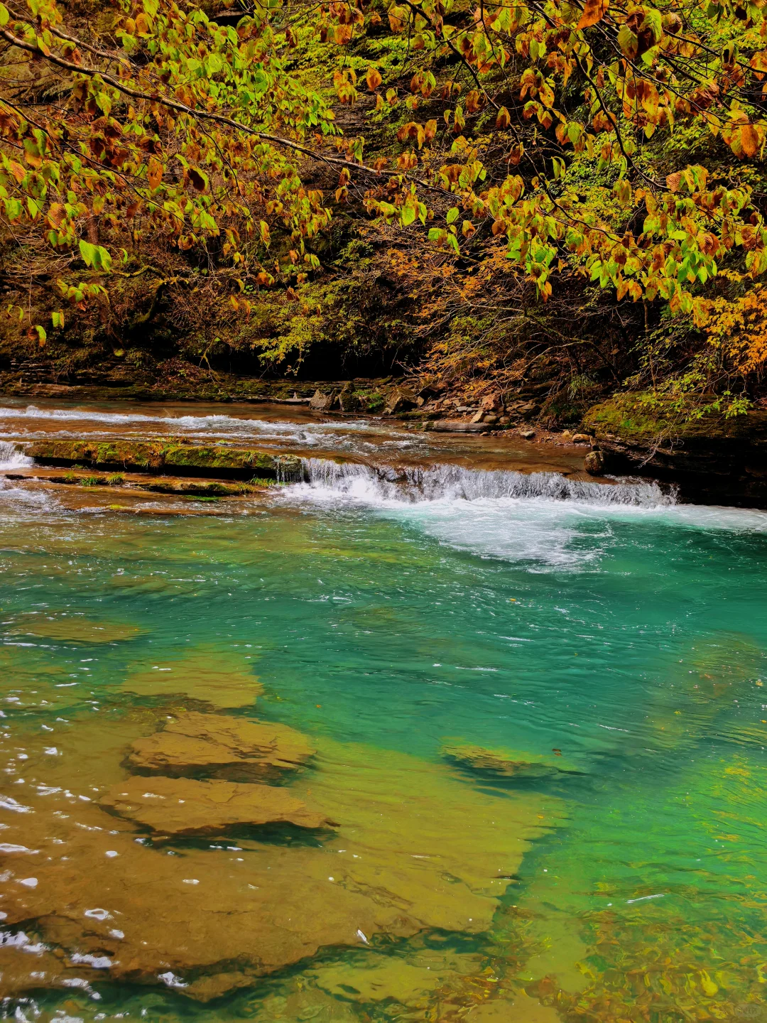 西安周边|不愧陕南小九寨❗低估赏秋天花板