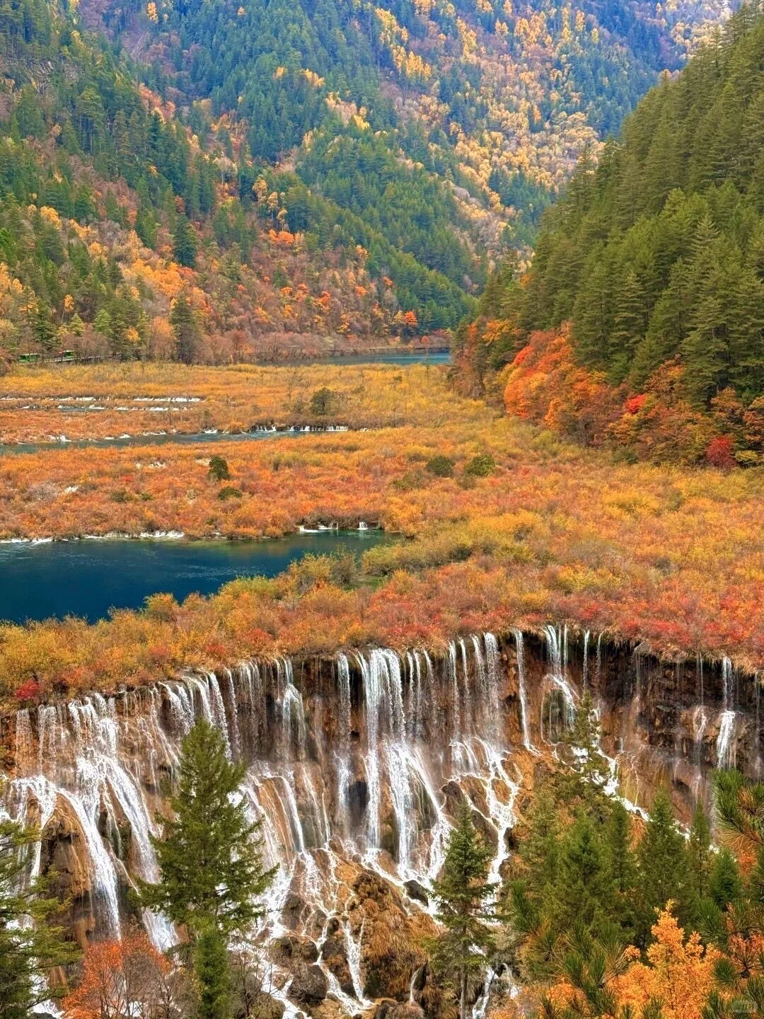 九寨沟即将迎来彩林季🍁真比日本震撼万倍！