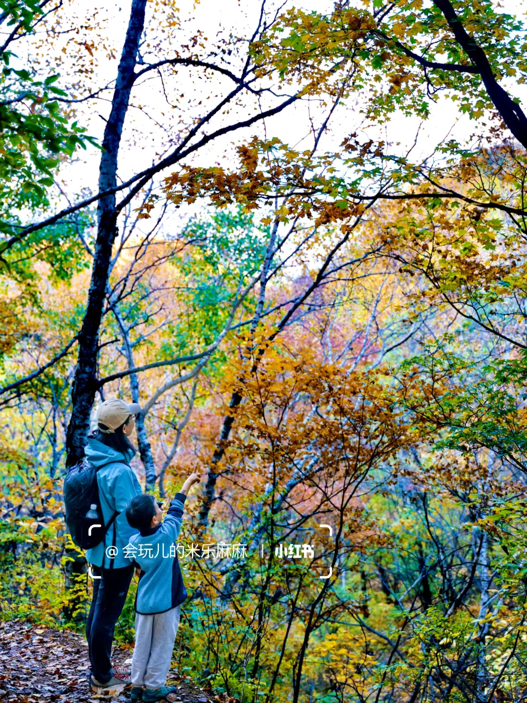北京这座山已层林尽染🍁关键还没啥人