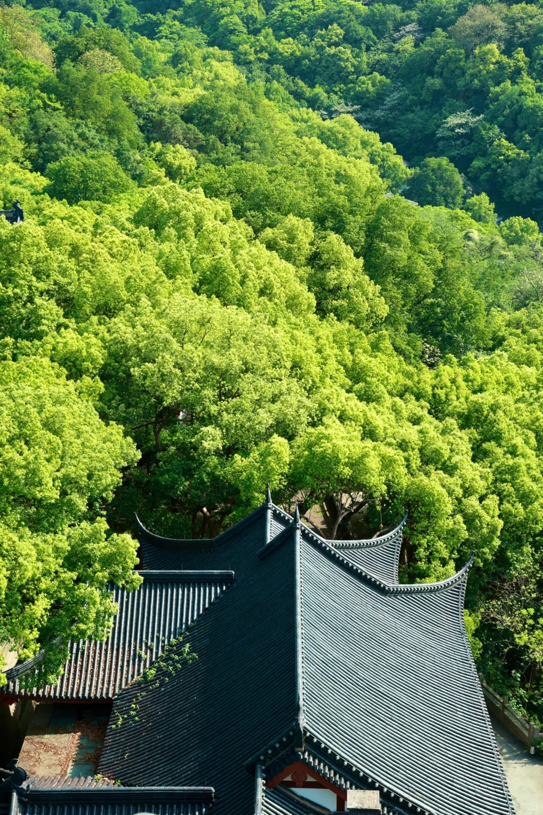 杭州最美的地方并不在西湖