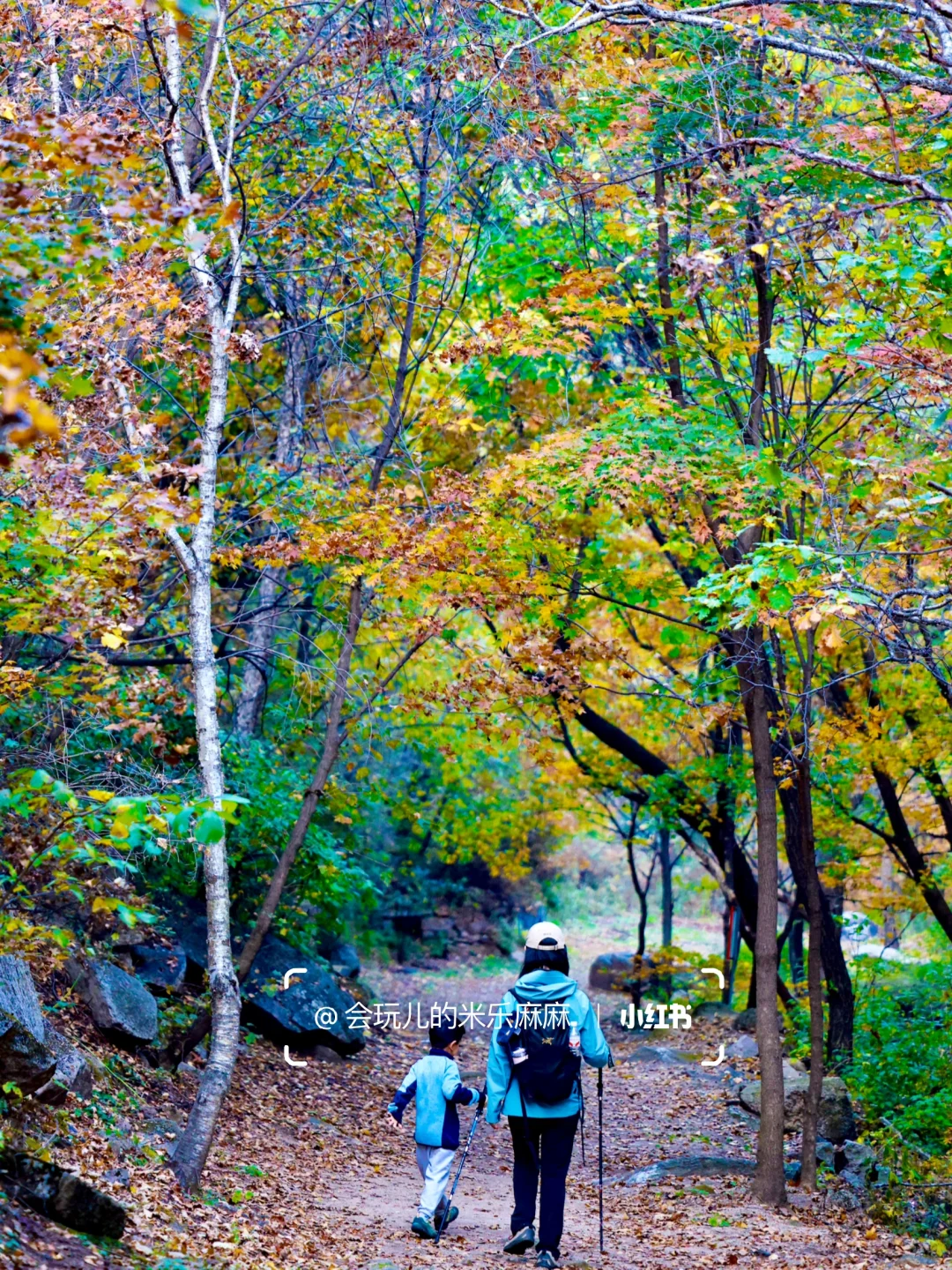 北京这座山已层林尽染🍁关键还没啥人