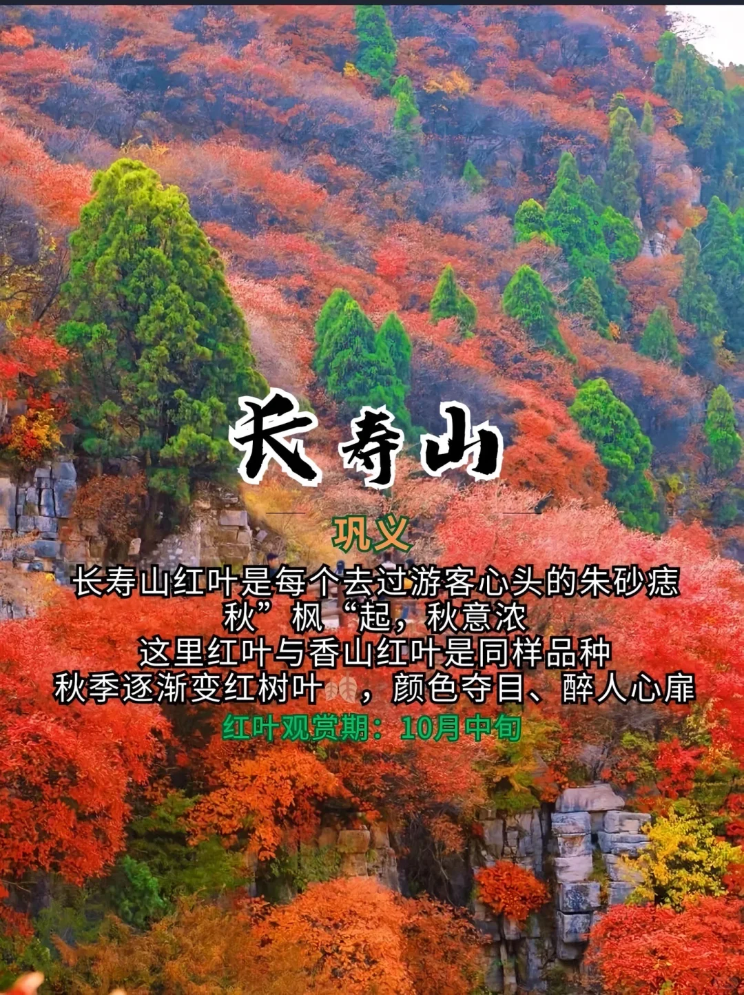 打卡！河南红叶赏秋攻略来了