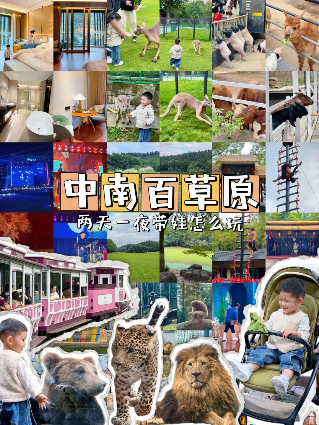 中南百草原两天一夜亲子游玩攻略