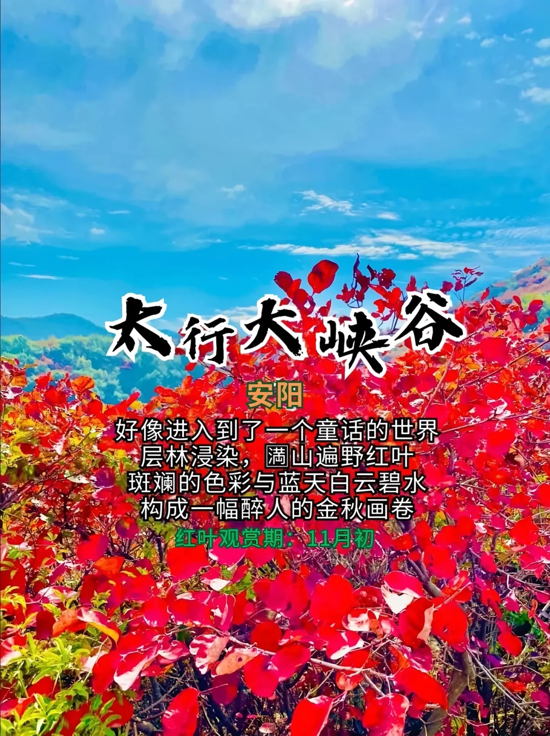 打卡！河南红叶赏秋攻略来了