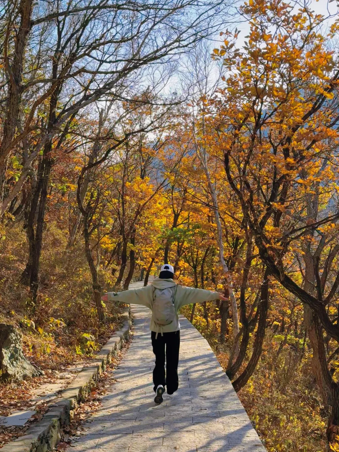 百瑞谷｜漫步在山川的调色盘里🎨在油画里❗️