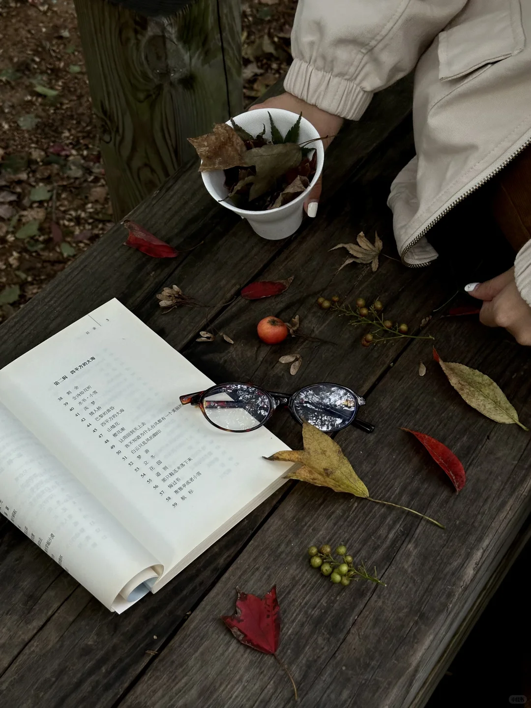 秋天🍂来青岛一定要做的1️⃣0️⃣件小事！！！！