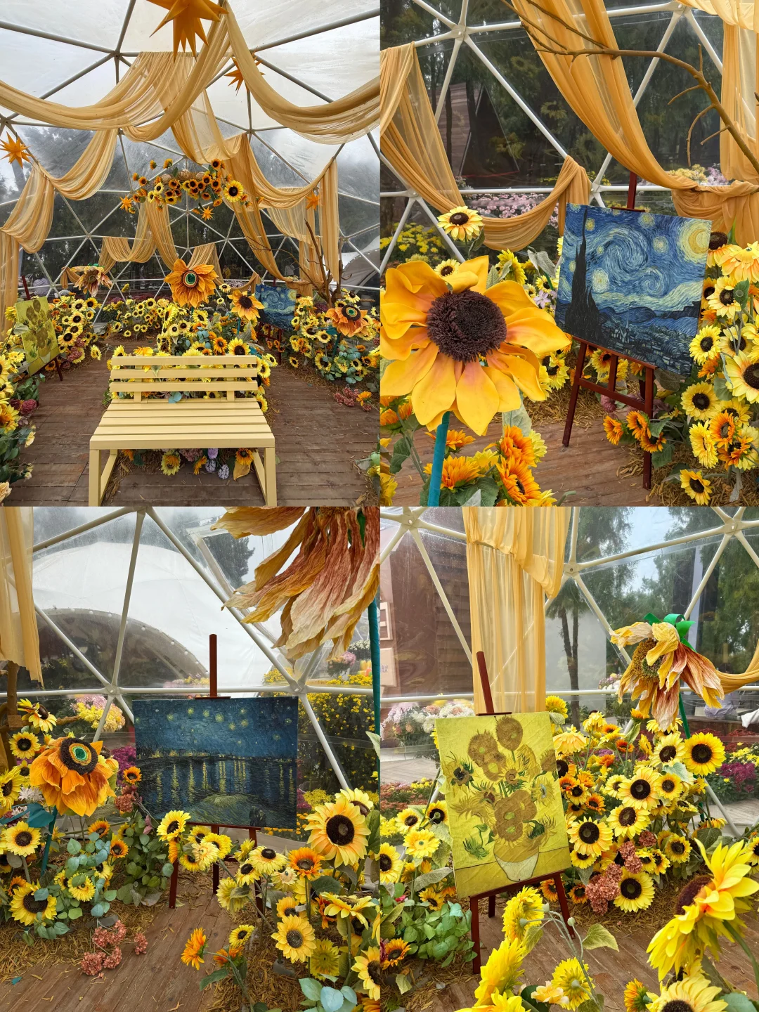 为啥我去万岁山之前没有刷到过这篇……